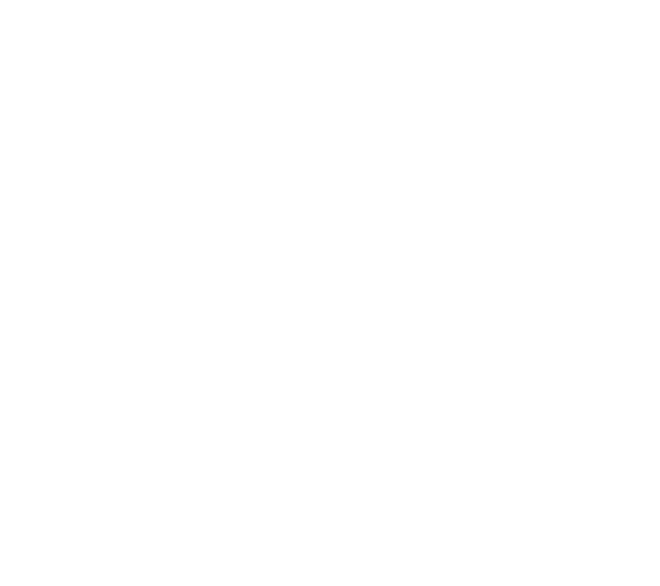 Wys